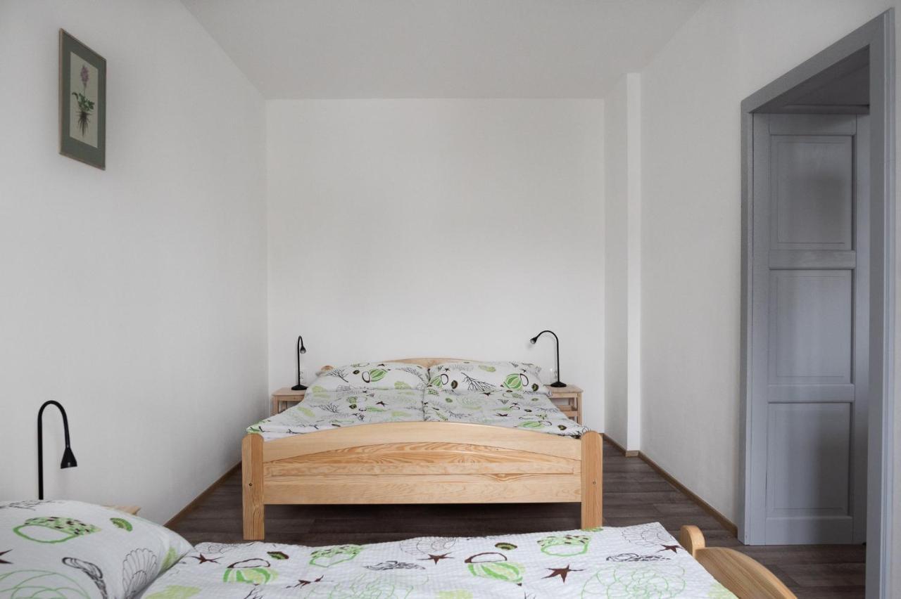 Apartmany16 Olesnice V Orlickych Horach ภายนอก รูปภาพ